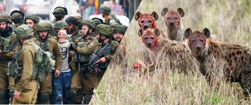 Are the isreal Zionists wild animals?